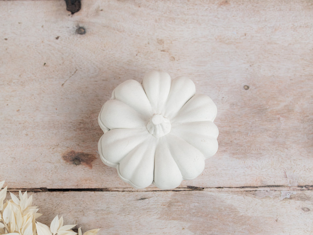 3D Pumpkin Pot With Lid