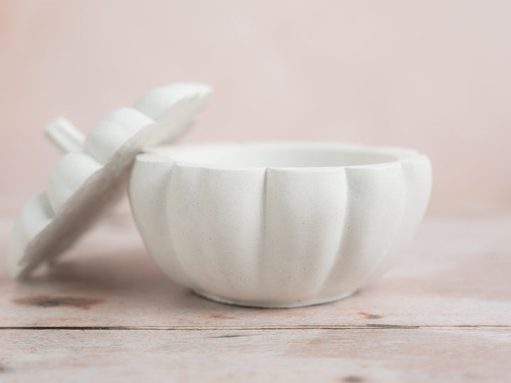 3D Pumpkin Pot With Lid