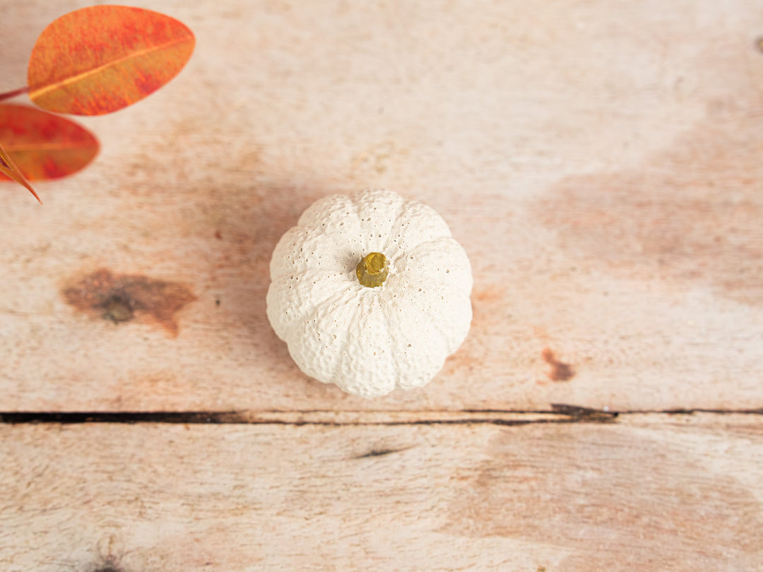 3D White and Gold Concrete Pumpkins