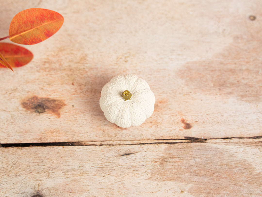 3D White and Gold Concrete Pumpkins