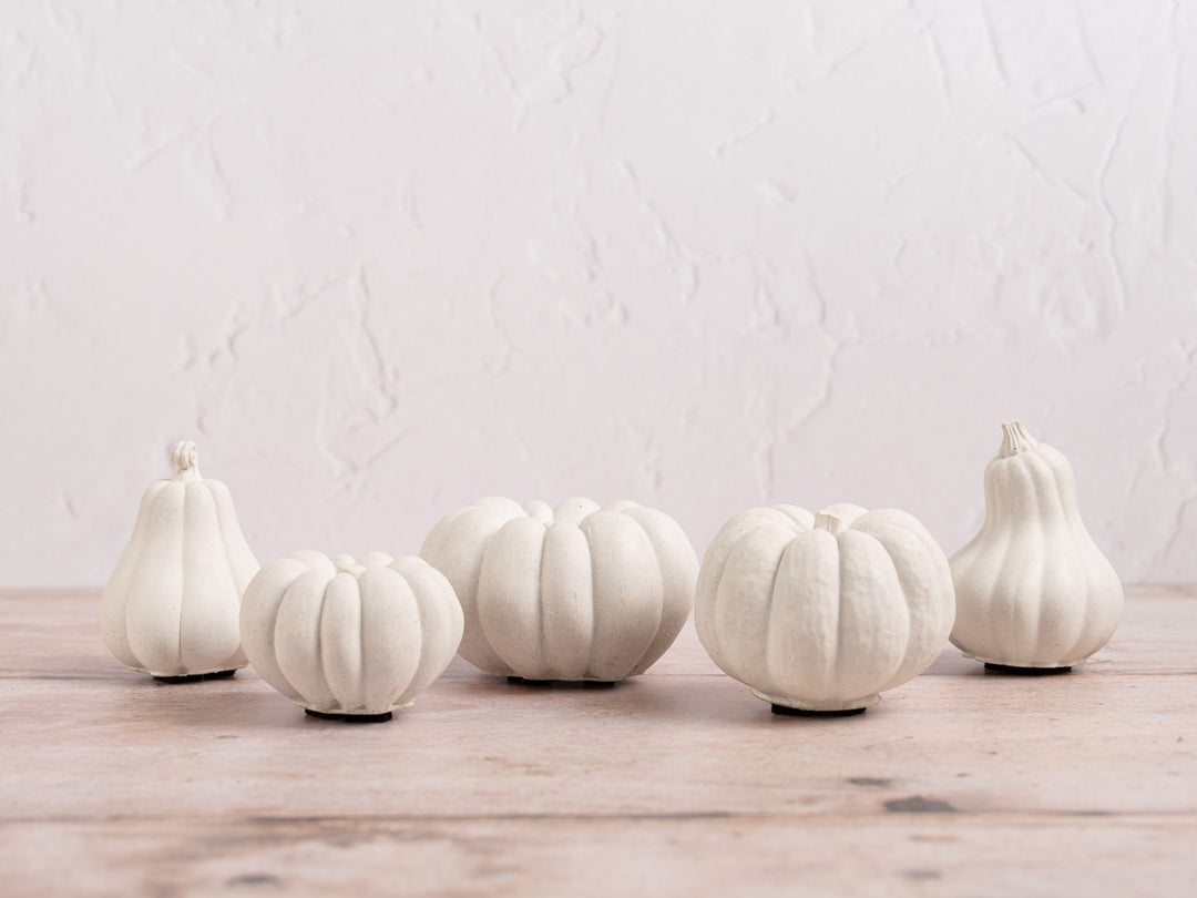 Handmade White Concrete Pumpkin for Autumn Decor, 5 styles available