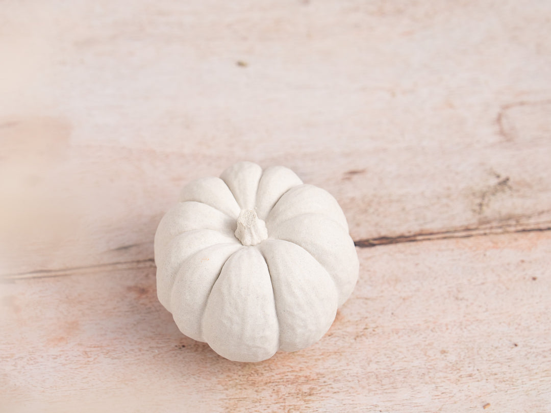 Handmade White Concrete Pumpkin for Autumn Decor, 5 styles available