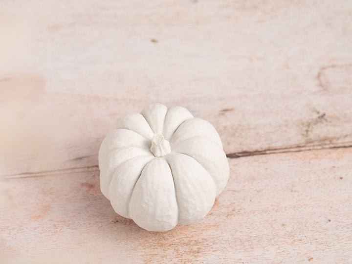 Handmade White Concrete Pumpkin for Autumn Decor, 5 styles available