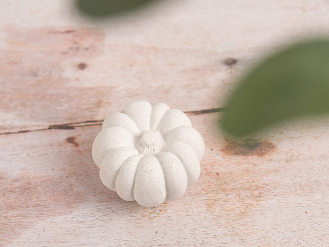 Handmade White Concrete Pumpkin for Autumn Decor, 5 styles available