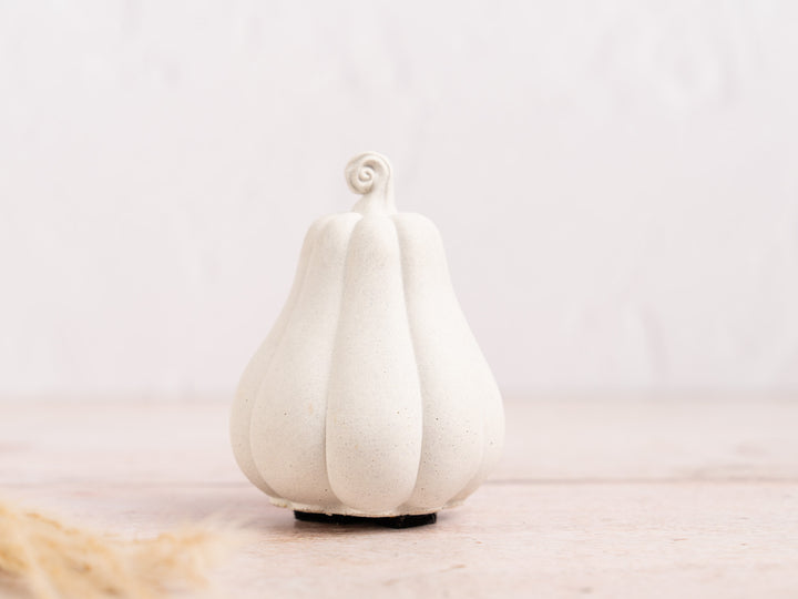 Handmade White Concrete Pumpkin for Autumn Decor, 5 styles available