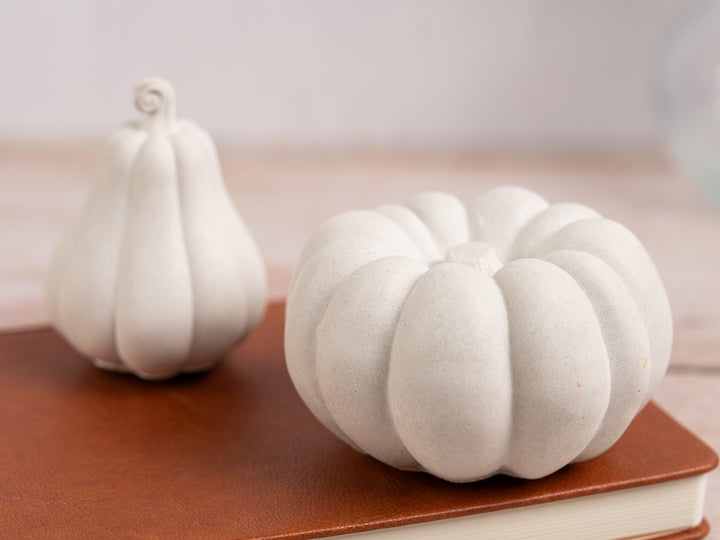 Handmade White Concrete Pumpkin for Autumn Decor, 5 styles available