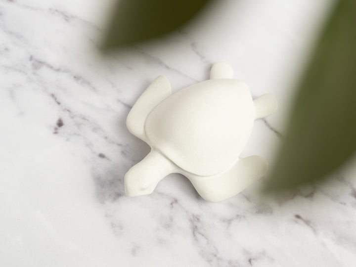 3D Concrete Turtle
