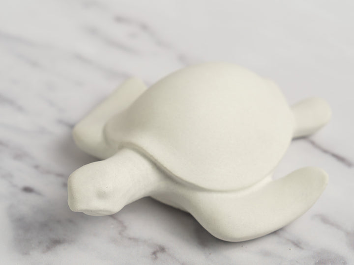 3D Concrete Turtle