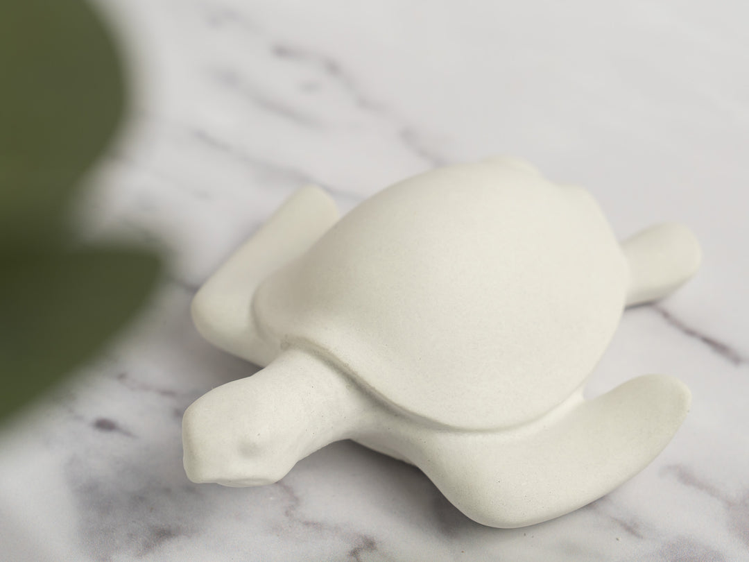 3D Concrete Turtle
