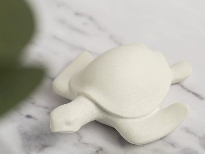 3D Concrete Turtle
