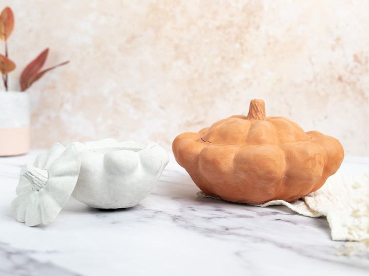 3D concrete Pumpkin Pots with Lid