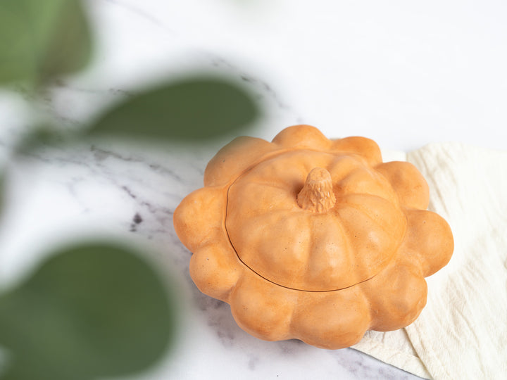 3D concrete Pumpkin Pots with Lid
