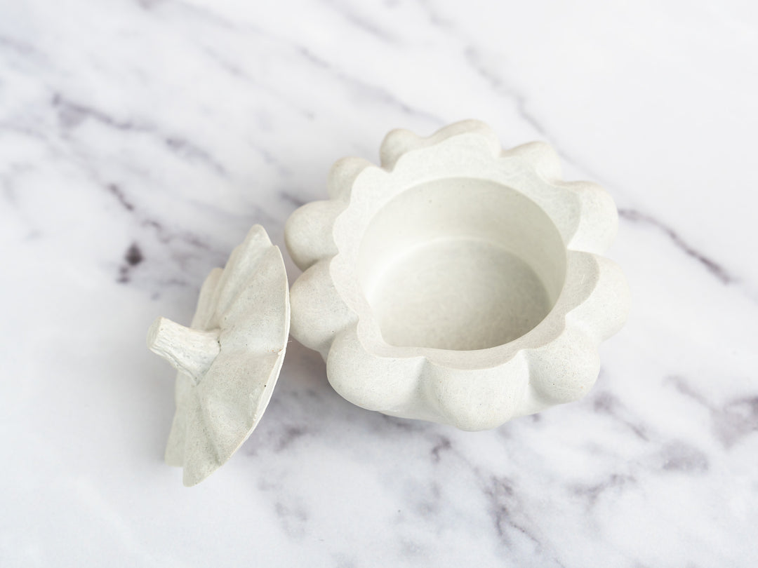 3D concrete Pumpkin Pots with Lid