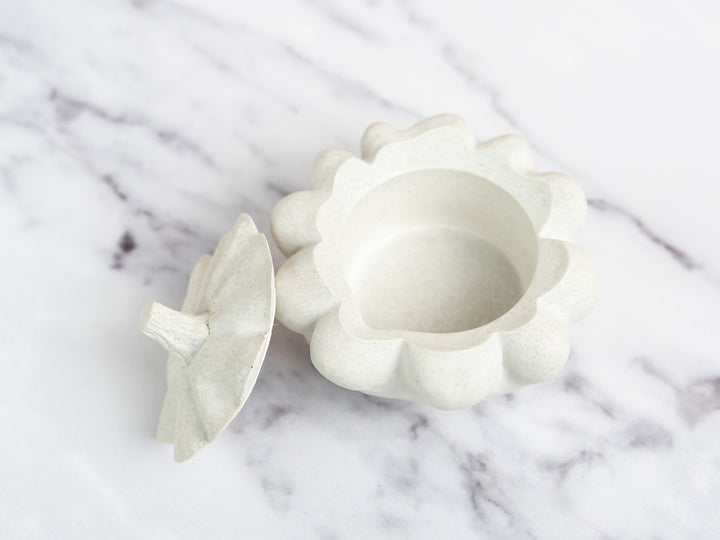 3D concrete Pumpkin Pots with Lid