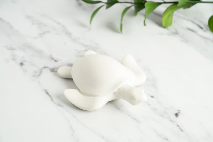 3D Concrete Turtle