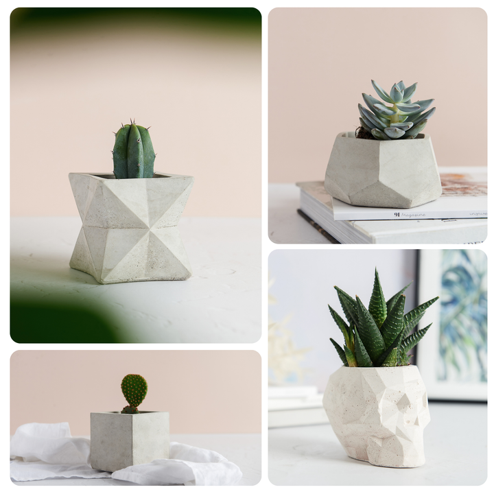 Geometric Planter Bundle