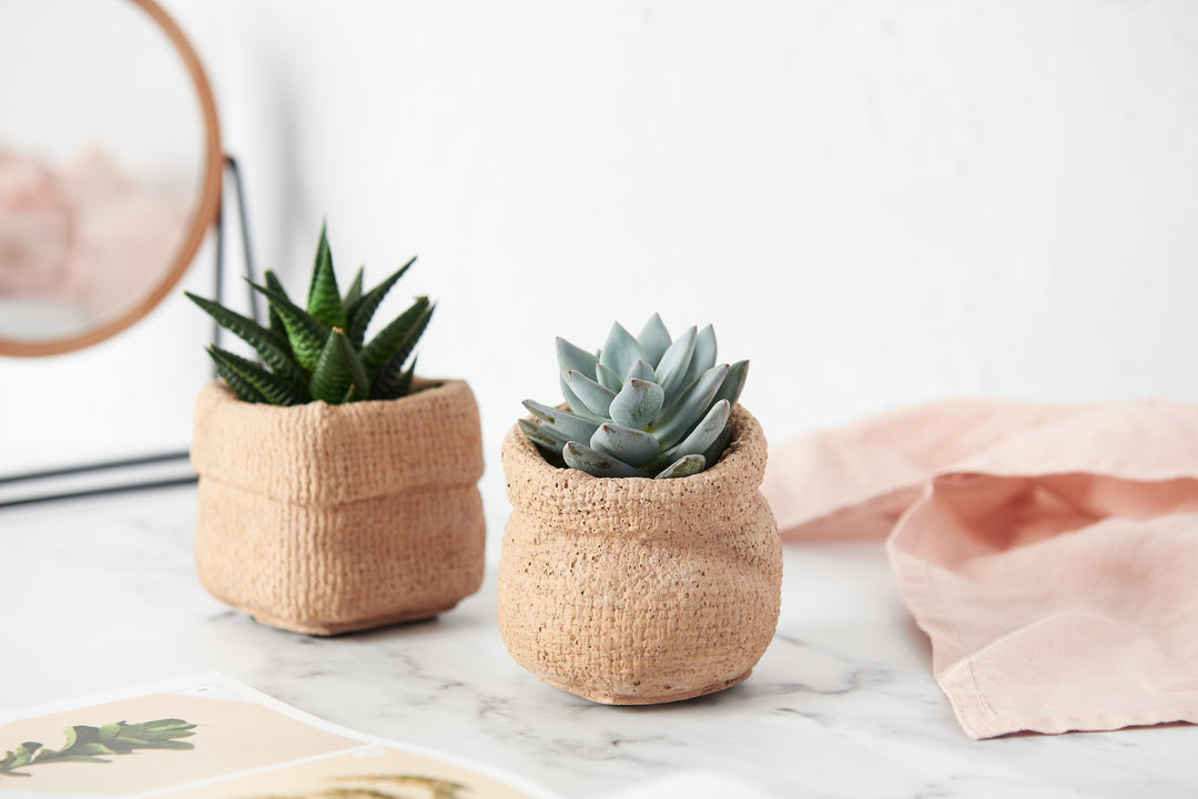 Paper Bag Style Plant Pot