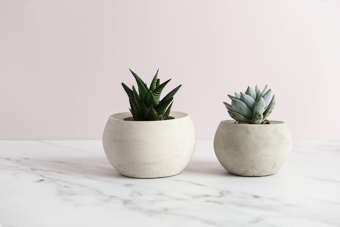 Spherical Concrete Pots with Lid