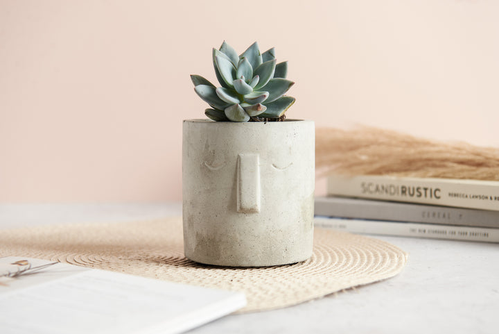 Work From Home Office Essentials Bundle
