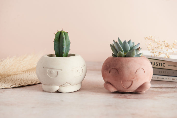 Cartoon Style Plant Pot