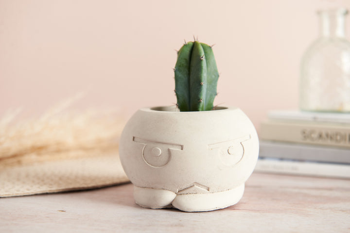 Cartoon Style Plant Pot