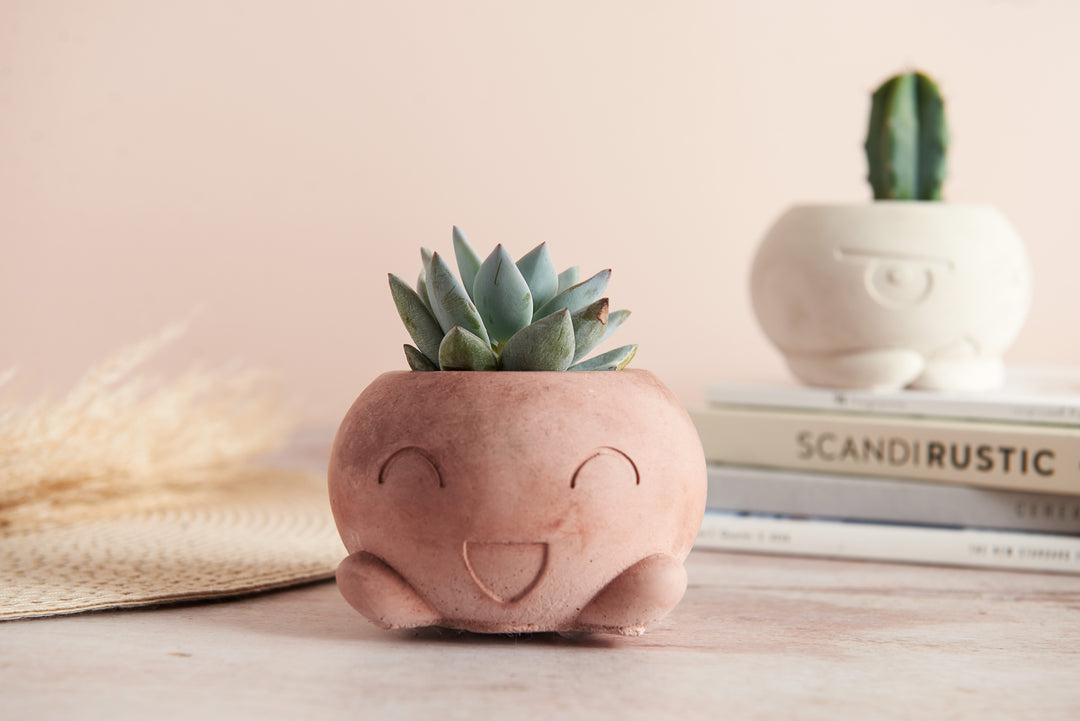 Cartoon Style Plant Pot