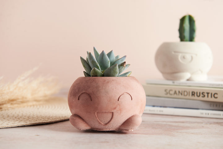 Cartoon Style Plant Pot