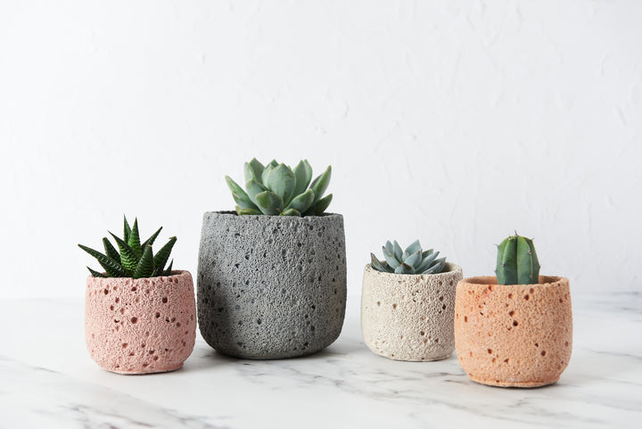 Volcanic Style Concrete Plant Pot