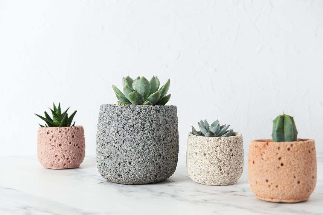Volcanic Style Concrete Plant Pot