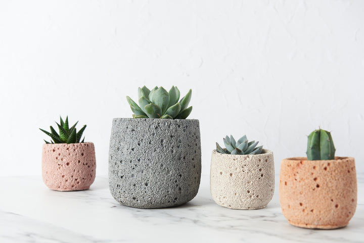 Volcanic Style Concrete Plant Pot