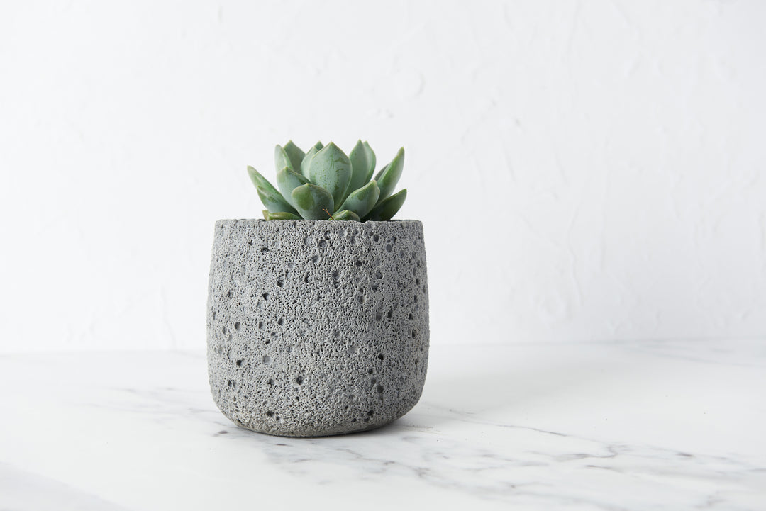 Volcanic Style Concrete Plant Pot