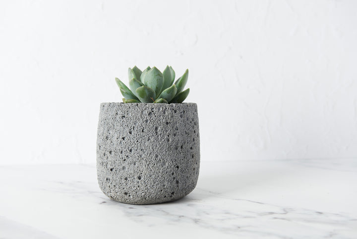 Volcanic Style Concrete Plant Pot