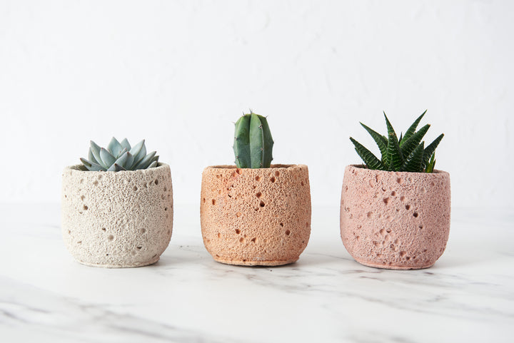Volcanic Style Concrete Plant Pot