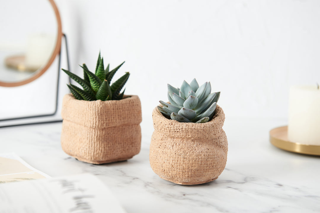 Paper Bag Style Plant Pot