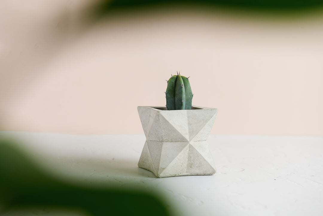 Geometric Planter Bundle