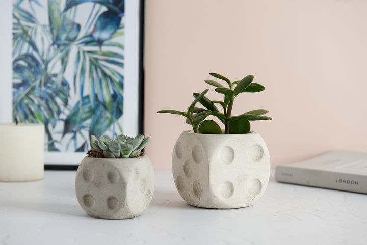 Dice Shaped Concrete Planter