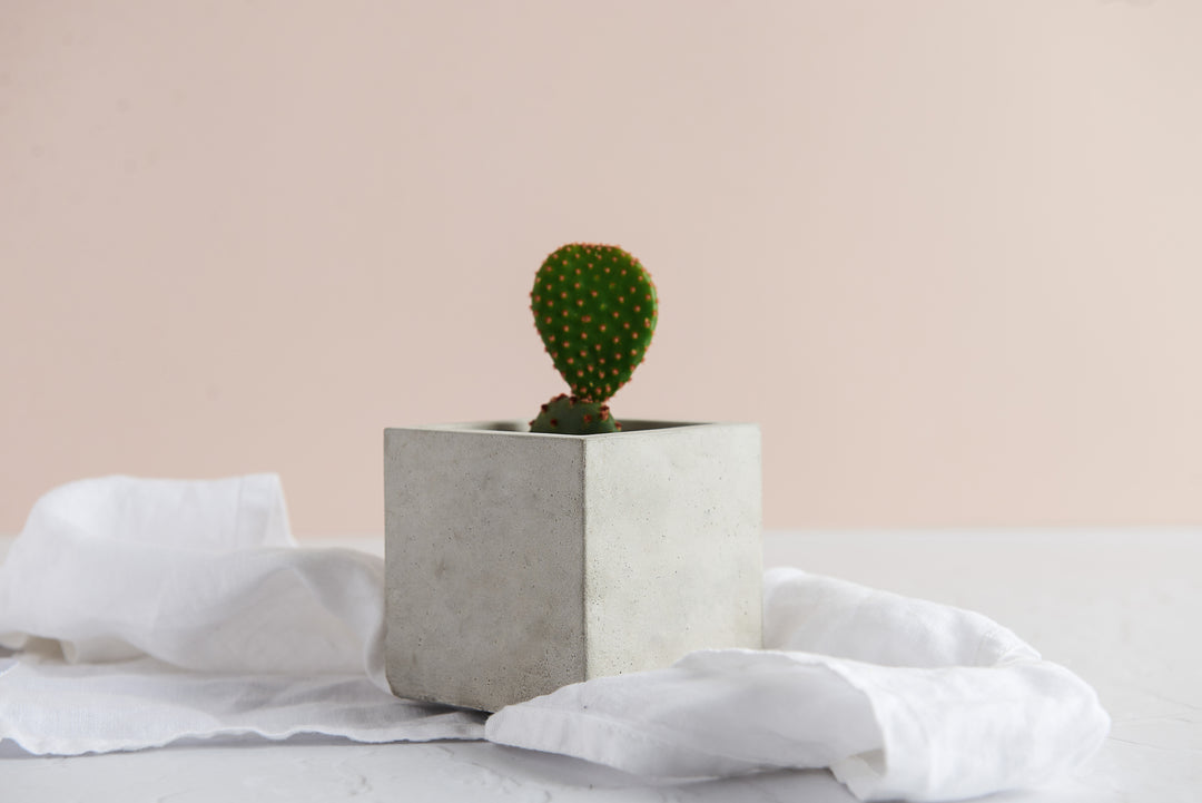 Geometric Planter Bundle