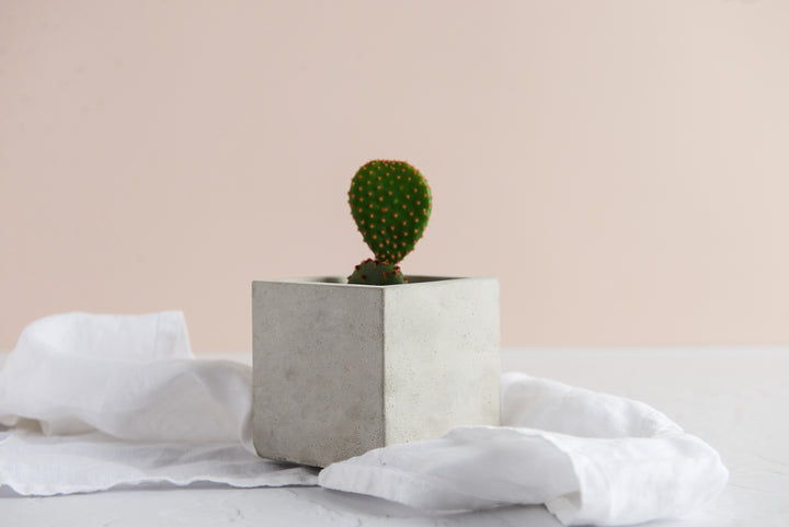 Geometric Planter Bundle