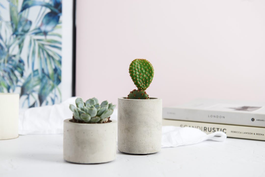Round Pillar Planter