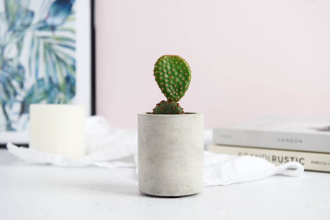 Round Pillar Planter