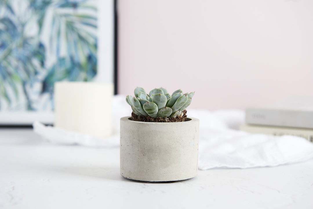 Round Pillar Planter