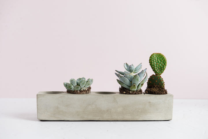 Rectangular 5 Plant Planter