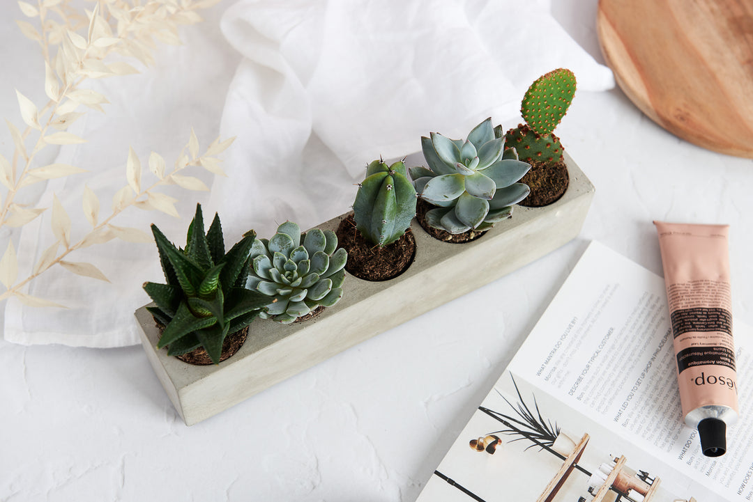 Rectangular 5 Plant Planter