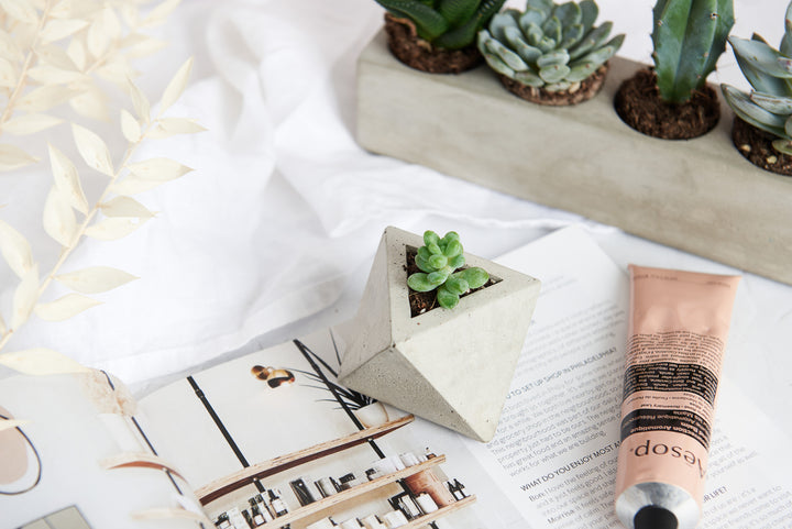 Rectangular 5 Plant Planter
