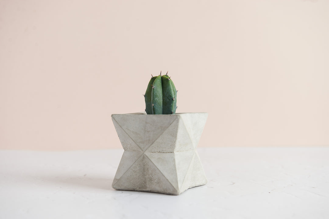 Geometric Concrete Planter