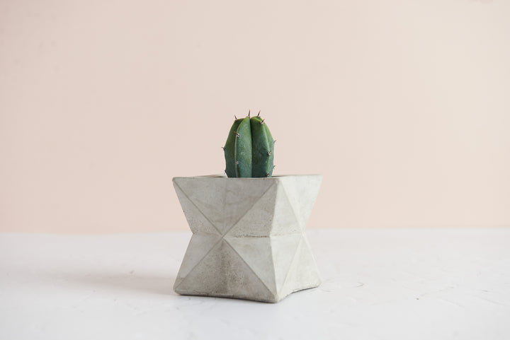 Geometric Concrete Planter