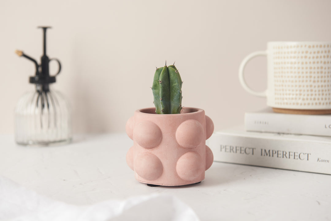 Plant Lover Bundle