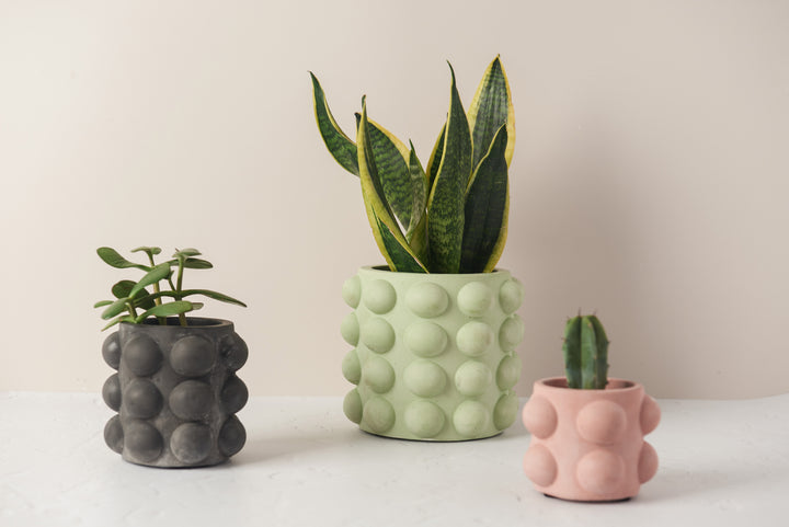Bubble Style Plant Pot