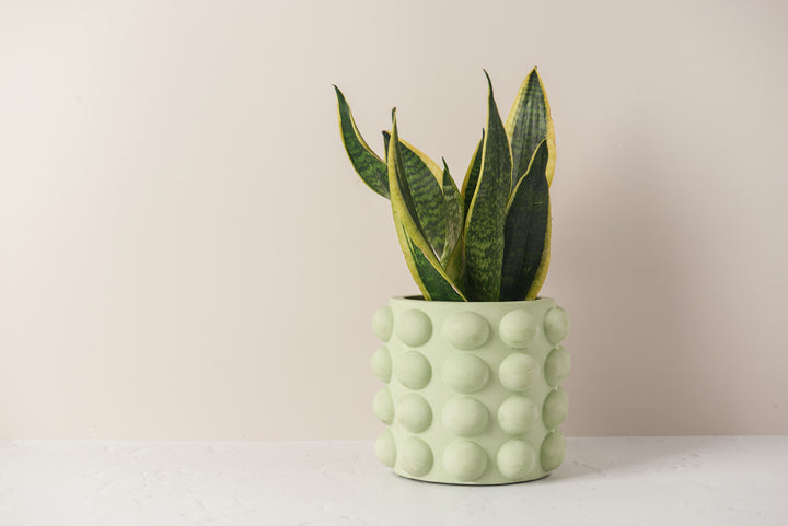 Bubble Style Plant Pot