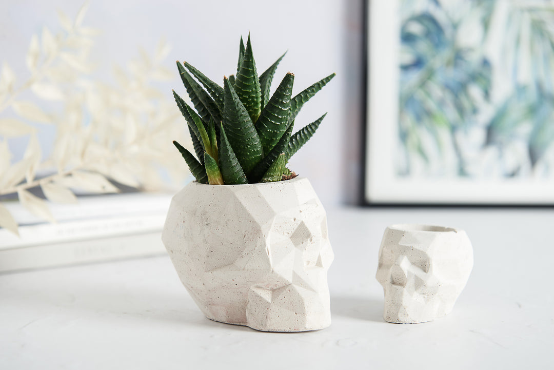 Geometric Skull Concrete Plant Pots